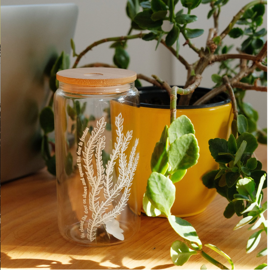 Verre Café Glacé Seaweeds